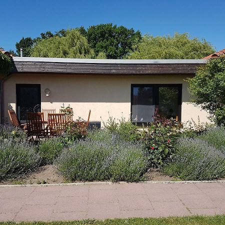 Apartamento Ferienwohnanlage "Am Bernsteinsee" Dierhagen Exterior foto
