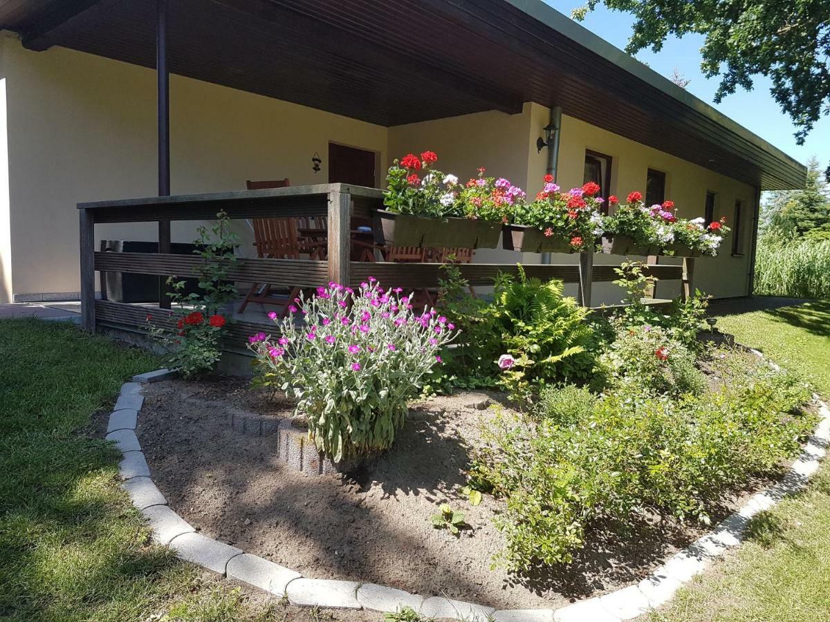 Apartamento Ferienwohnanlage "Am Bernsteinsee" Dierhagen Exterior foto